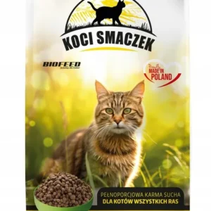KOCI SMACZEK Z KURCZAKIEM BIOFEED