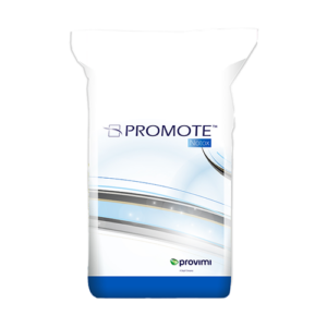 NOTOX ULTIMATE PRO Provimi